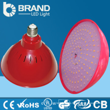 China Lieferant E27 Lampenhalter cri80 LED Kaffee Zimmer Licht